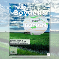 Image for Boyden