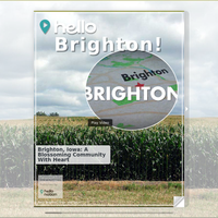 Image for Brighton