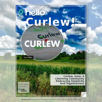 Image for Curlew