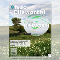 Image for Ellsworth