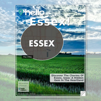 Image for Essex