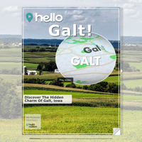 Image for Galt