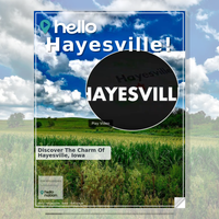 Image for Hayesville