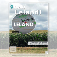 Image for Leland