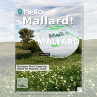 Image for Mallard