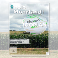 Image for Moorland