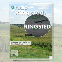 Image for Ringsted