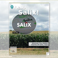 Image for Salix