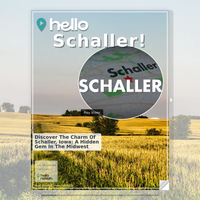 Image for Schaller