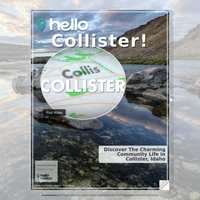 Image for Collister