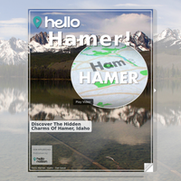 Image for Hamer