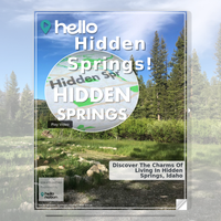 Image for Hidden Springs