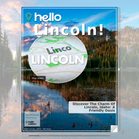 Image for Lincoln