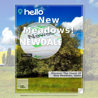 Image for New Meadows