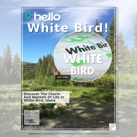 Image for White Bird