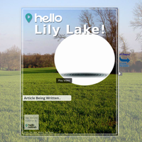 Image for Lily Lake