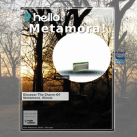 Image for Metamora