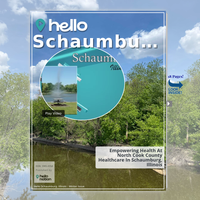 Image for Schaumburg