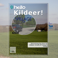 Image for Kildeer