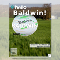 Image for Baldwin