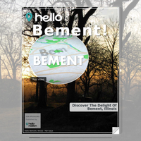 Image for Bement