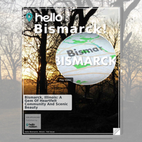 Image for Bismarck