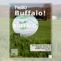 Image for Buffalo