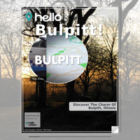 Image for Bulpitt