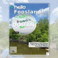 Image for Foosland