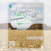 Image for Bluegrass / Pigeon