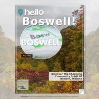 Image for Boswell