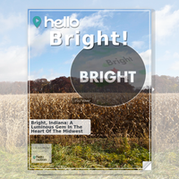 Image for Bright