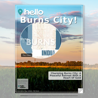 Image for Burns City