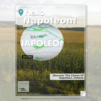 Image for Napoleon