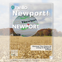 Image for Newport