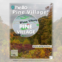 Image for Pine Village