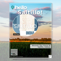 Image for Saltillo