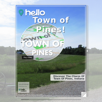 Image for Town of Pines