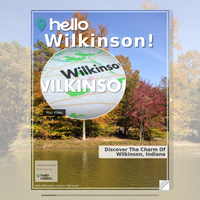 Image for Wilkinson