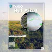 Image for Bel Aire