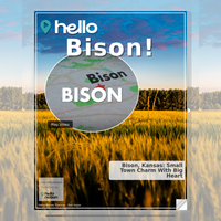 Image for Bison