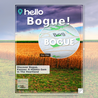 Image for Bogue