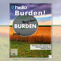 Image for Burden