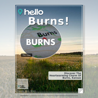 Image for Burns