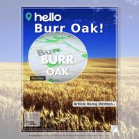 Image for Burr Oak