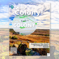 Image for Colony