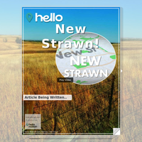 Image for New Strawn