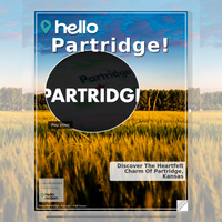 Image for Partridge