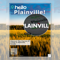 Image for Plainville