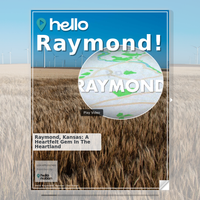 Image for Raymond